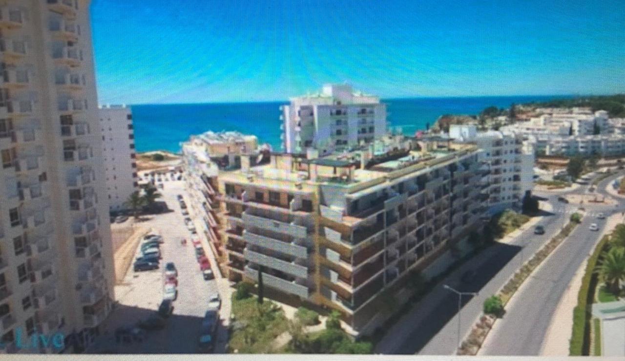 Apartament New Petit Paradise *